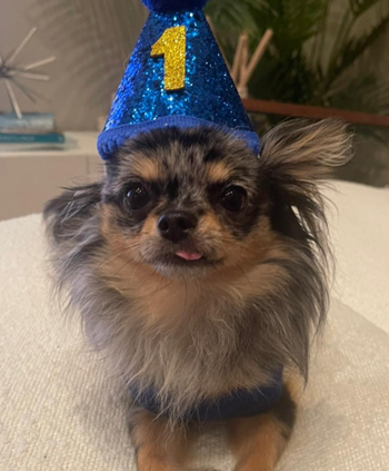 水原一平 子供