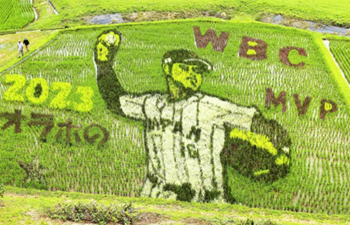 大谷翔平の人生年表