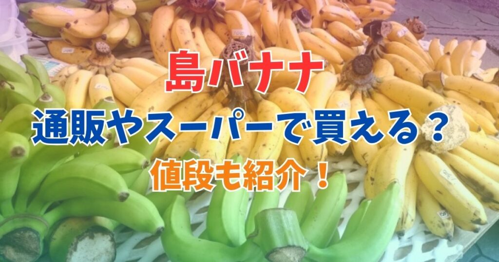 島バナナ　どこで買える　通販