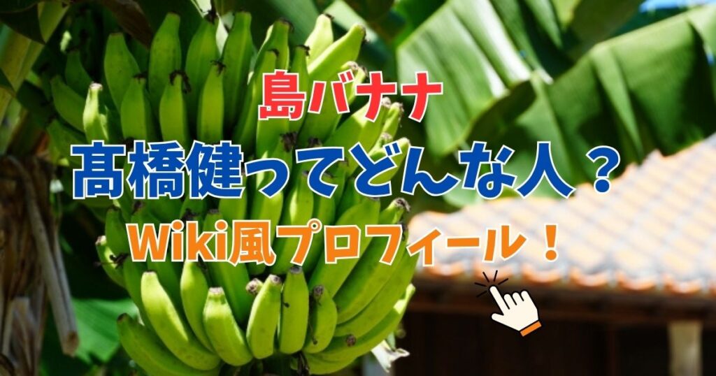 島バナナ　髙橋健　プロフィール